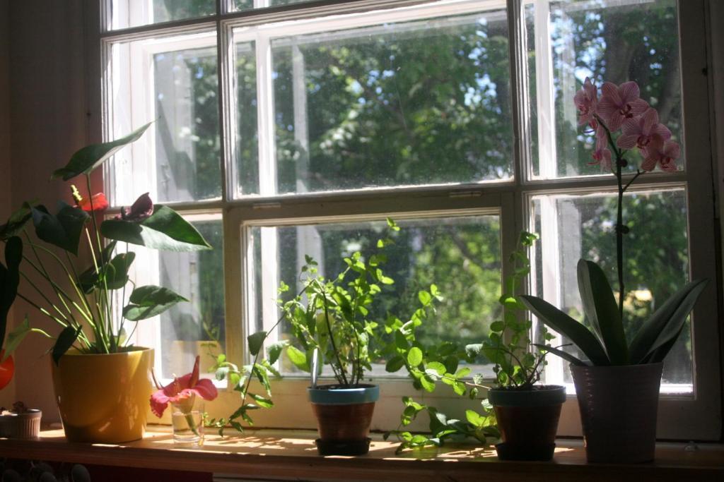 Almatoit Bed & Breakfast Екстериор снимка